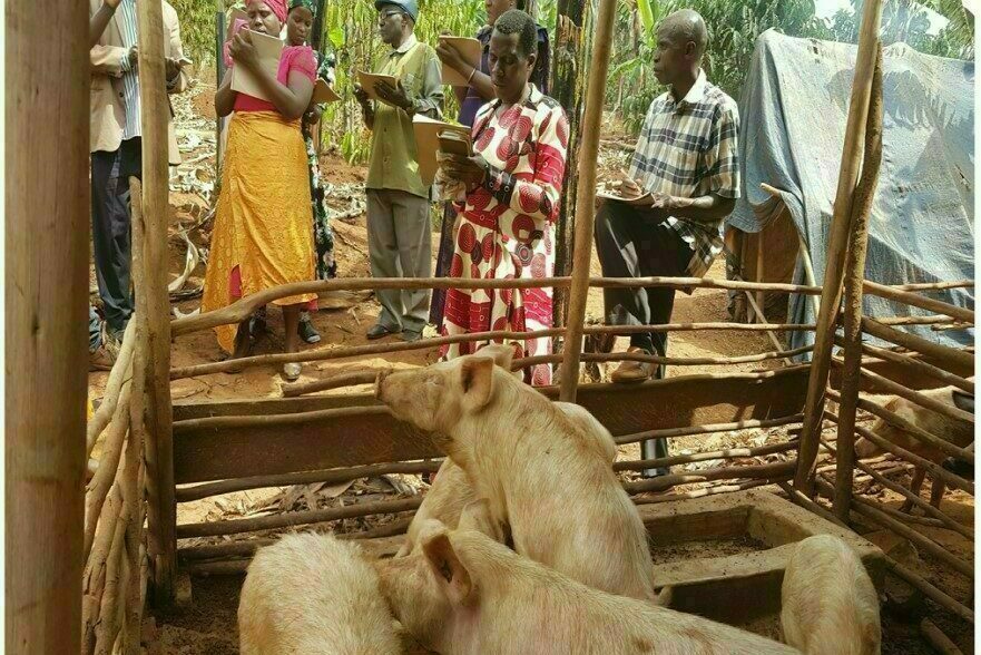 Creación de un centro de procesado de carne, Tanzania