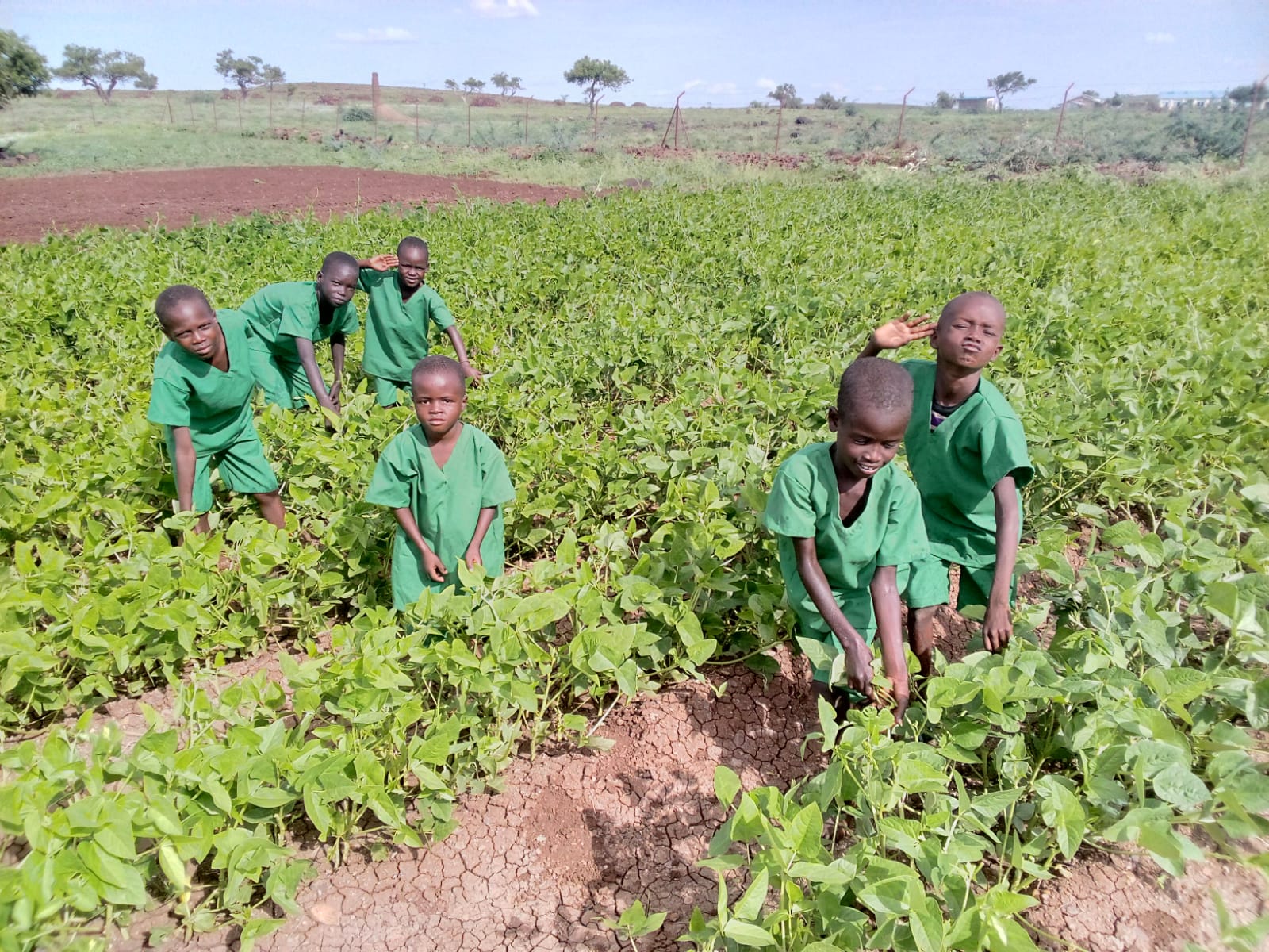 Escuela de agricultura en Turkana, Kenia