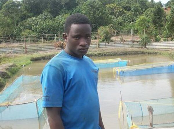 Puesta en marcha de una piscifactoría de tilapias y bagres en Uganda