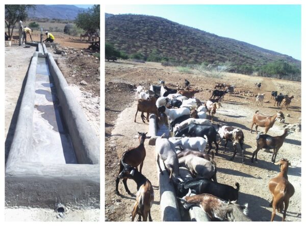 Abrevaderos para animales en Turkana